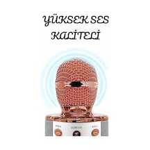 Lexroo Şarjlı Ve Uzun Pil Ömürlü Karaoke Mikrofon Usb Bellek Dest