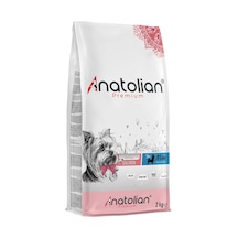 Anatolian Premium Somonlu Küçük Irk Yetişkin Köpek Maması 2 KG