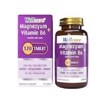 Wellcare Magnesium Vitamin B6 120 Tablet