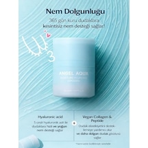 Aqua Moisture Plumping Lipcerin Nemlendirici Dolgunlaştırıcı Dudak Balmı 15 Ml