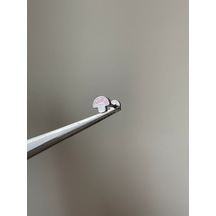 316 L Cerrahi Çelik Mantar Model Labret Dudak Ve Kıkırdak Piercingi Mantar Piercing Kahverengi