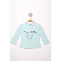 Mint Yeşili