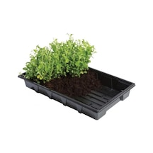 Garland Professional Tabla 37x23.5x5 Cm Deliksiz 5 Adet
