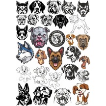 Köpek Türleri Sticker Set 1
