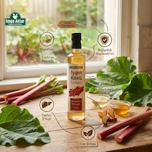 Tabib Lokman Işkın Kökü Sirkesi - Doğal Fermentasyon 500 Ml