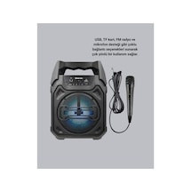 Aconcept Taşınabilir Bluetooth Hoparlör Fm Radyo, Usb, Sd Kart Ve 24601 Tws Özellikli