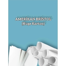 390 Gr. Amerikan Bristol Kağıt Karton 50x70 25 Adet