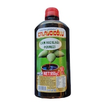 Kalaycıoğlu Çam Kozalağı Pekmezi 950 G