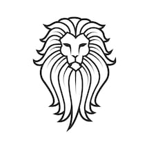 Aslan 9 Folyo Sticker 160cm Uzunluk Siyah