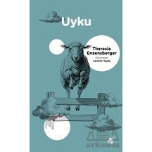 Uyku Ayrıntı Yayınları