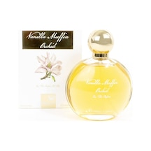 Dreamland Vanilla Muffin Orkide Kadın Parfüm Edp 100ml Vanilya