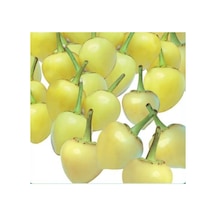 Fide Sepeti Misket Biber Tohumu 5GR 1 Paket