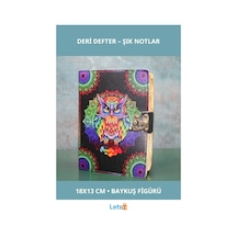 Estetik Baykuş Figürlü Deri Defter 18x13 Cm Çok Renkli