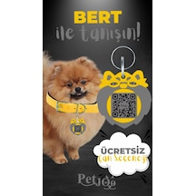Petjoo 13.Bert Gri-Sarı Qr'lı Köpek Künyesi