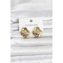316l Çelik Gold Renk Plaka Model Kadın Küpe 5886 Çok Renkli 59656018