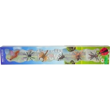 Sürüngen Dünyası - 6 Çeşit Mini Böcek Çeşitleri Set 2