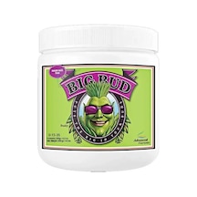 Big Bud Toz 500 gr