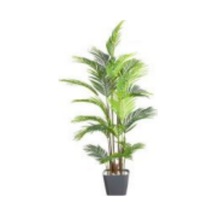 Yapay Ağaç Areka Palmiye, Gerçek Dokulu, Yeşil - 20 Yaprak, 190 Cm Çok Renkli