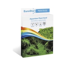 Eurostar Bitki  Tohumu  Hemianthus Callitrichoides