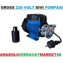 Gross 220 Volt Sıvı Yağ Aktarma Mazot Aktarma Pompası Sıvı Pompas