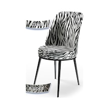 Zebra Desen