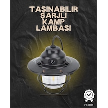 Çok Renkli