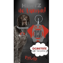 Petjoo 26.Hertz Kırmızı-Gri Qr'lı Köpek Künyesi