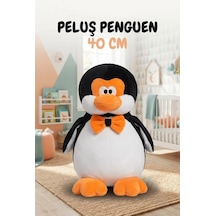 Çok Renkli