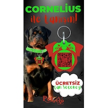 Petjoo 20.Cornelius Kırmızı-Yeşil Qr'lı Köpek Künyesi