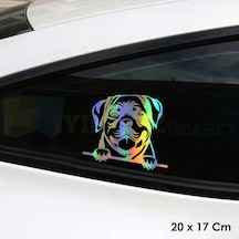 Bakan Köpek Araba Hologram Oto Sticker Cam Yapıştırma Etiket