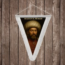 Diğer