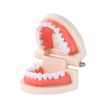 Wezone Çocuklar İçin Diş Fırçalama Eğitim Modeli - Beyaz Reçine Diş Maketi