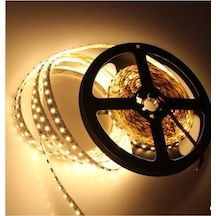 4040 3 Çipli Silikonsuz 5 Metre Şerit Led Günışığı