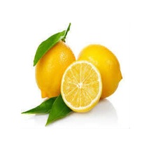 Limon Bonesi / 250 Adet / Çayı Bonesi Çok Renkli