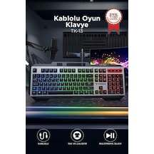 Premium Yazı Bilgisayar Ekipman Oyuncu Klavyesi Tk13 Siyah