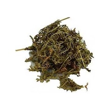 Eğrelti Otu Doğal 100 Gr Paket