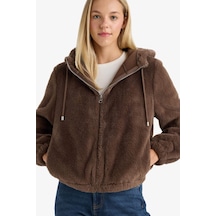 Defacto Regular Fit Polar Astarlı Kapüşonlu Fermuarlı Suni Kürk F2148ax25wnbn500 Kahve