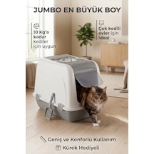 Açık Bej