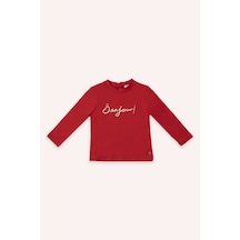 Çok Renkli