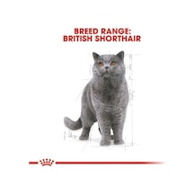 Canin British Shorthair Adult Pouch Konserve Kedi Maması 85 Gr 103 Ivory