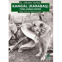 Kangal karabaş Türk Çoban Köpeği