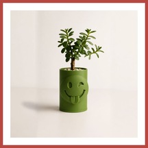 Bezos 3d Baskı Emoji Planter - Göz Kırpan Yüzlü Sukulent Saksısı-yeşil Erdotıca Standart