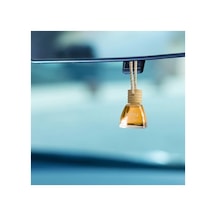 10 Ml Mango Aromalı Araç Kokusu, Asılı Kavanoz