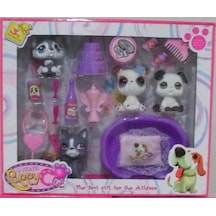 Qshape Pupy Minişler Set