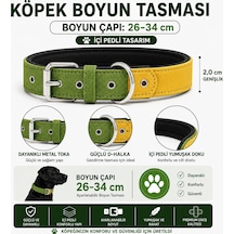 Pedli Köpek Boyun Tasması 26-34 Cm 2 Cm İçi Pedli Metal Tokalı - Yeşil Sarı Çok Renkli