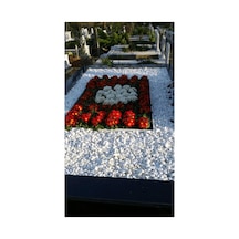 Asenya Mezar Taşı 10 Kg 2-4 Cm Beyaz Dolomit Taş Dere Çakıl Taşı Bahçe Süs Taşı Mezar Süsleme Taşı