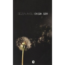 Sezen Aksu - Eksik Şiir - Şarkı Sözleri (1977-2006) - Sezen Aksu - Metis Yayınları