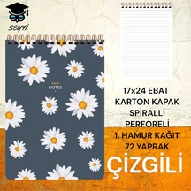 Çok Renkli
