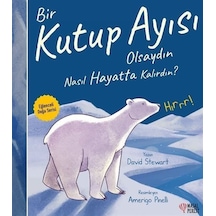 Bir Kutup Ayısı Olsaydın Nasıl Hayatta Kalırdın / David Stewart