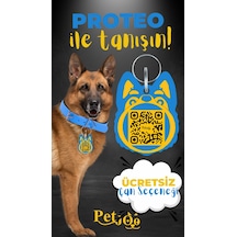 Petjoo 24.Proteo Sarı-Mavi Qr'lı Köpek Künyesi